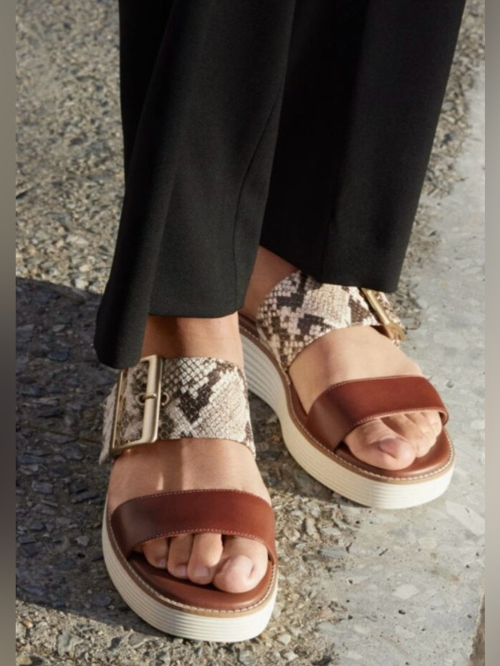 COLE HAAN Original Grand Platform Sandal Sandollar Snake Print - Picture 8 of 9